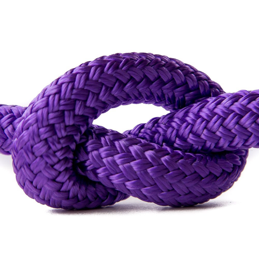 Rênes Paracord Tissées à La Main De Couleur Violette Et Noire