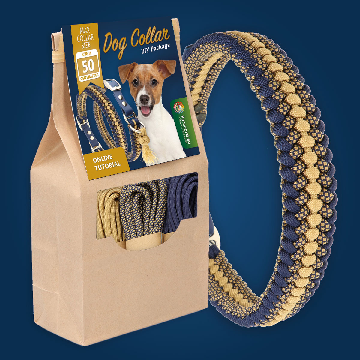 LOT De 50 Breloques Pendantes En Métal Pour Animal De Compagnie, Chat, Chien, Chiot, Empreinte De Patte, Bijoux à Faire Soi-même