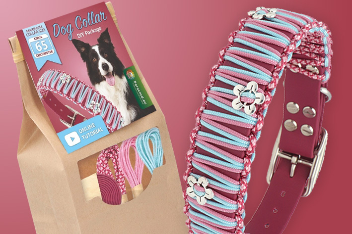 Collier pour chien en BioThane