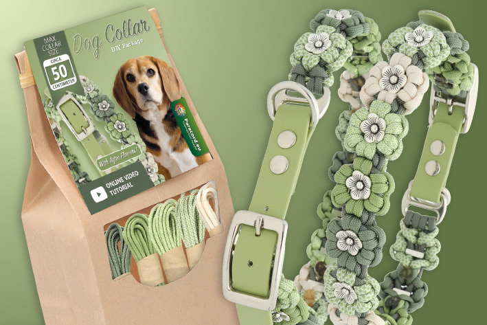 Collier pour chien en paracorde